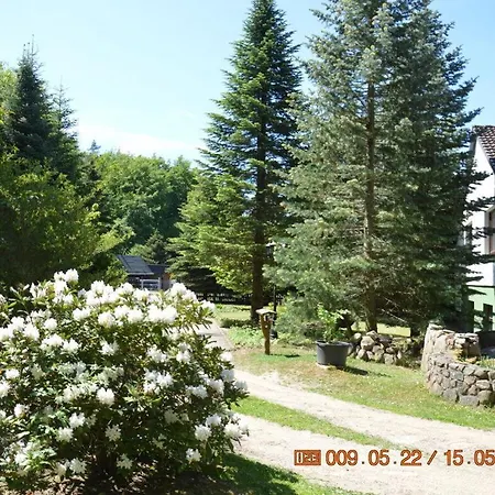 Apartment Right Next To Forest *