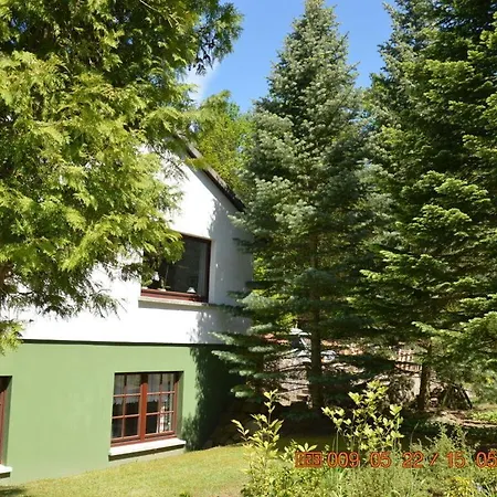 Apartment Right Next To Forest Carpin