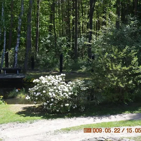 Right Next To Forest Apartment Carpin