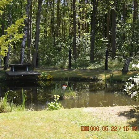 Right Next To Forest Apartment