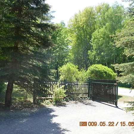 Right Next To Forest * Carpin