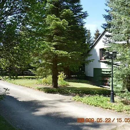 Right Next To Forest Apartment